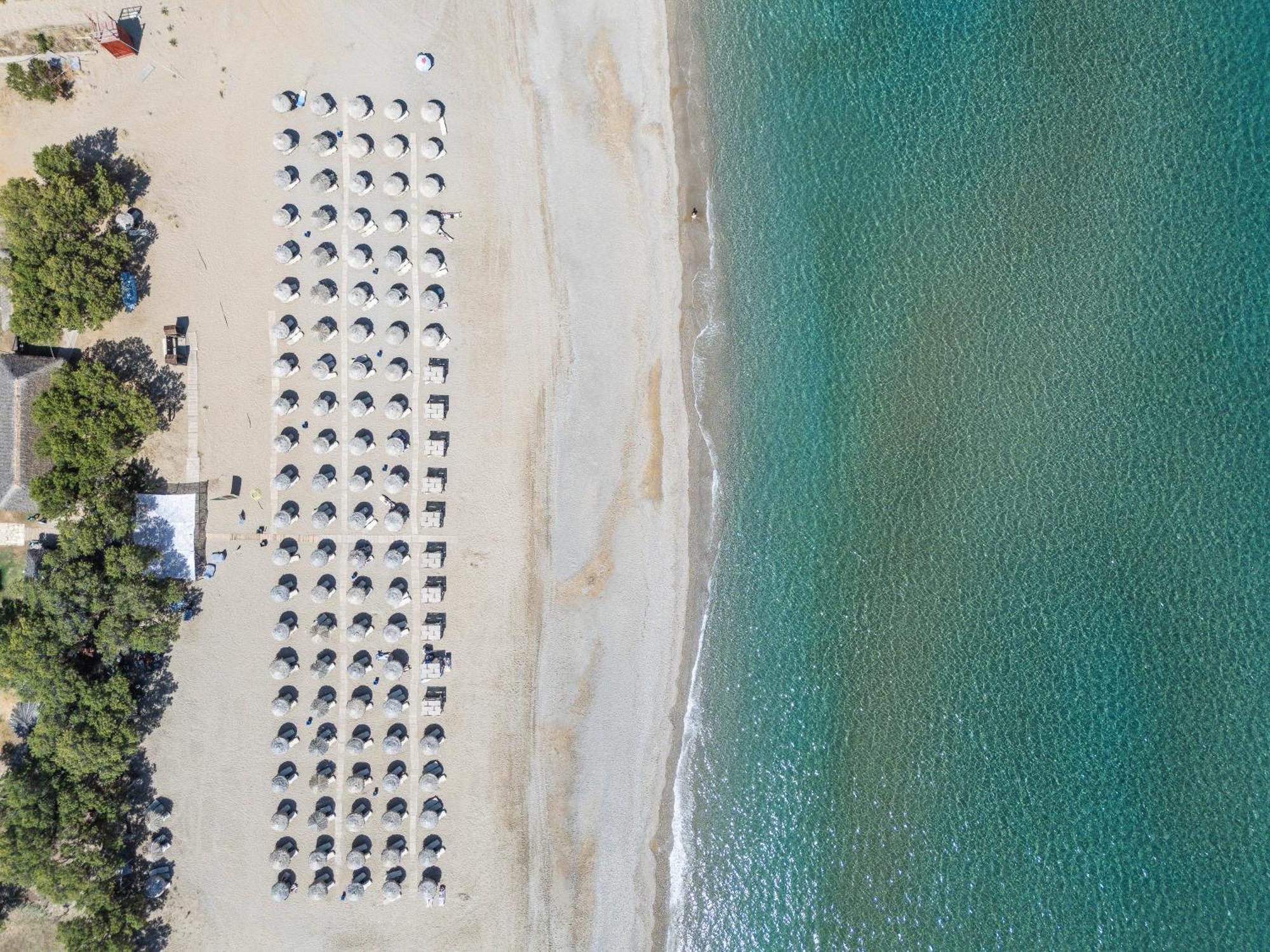 Hotel Iosifina, 80 Metres From Episkopi Beach! Dhrámia 外观 照片